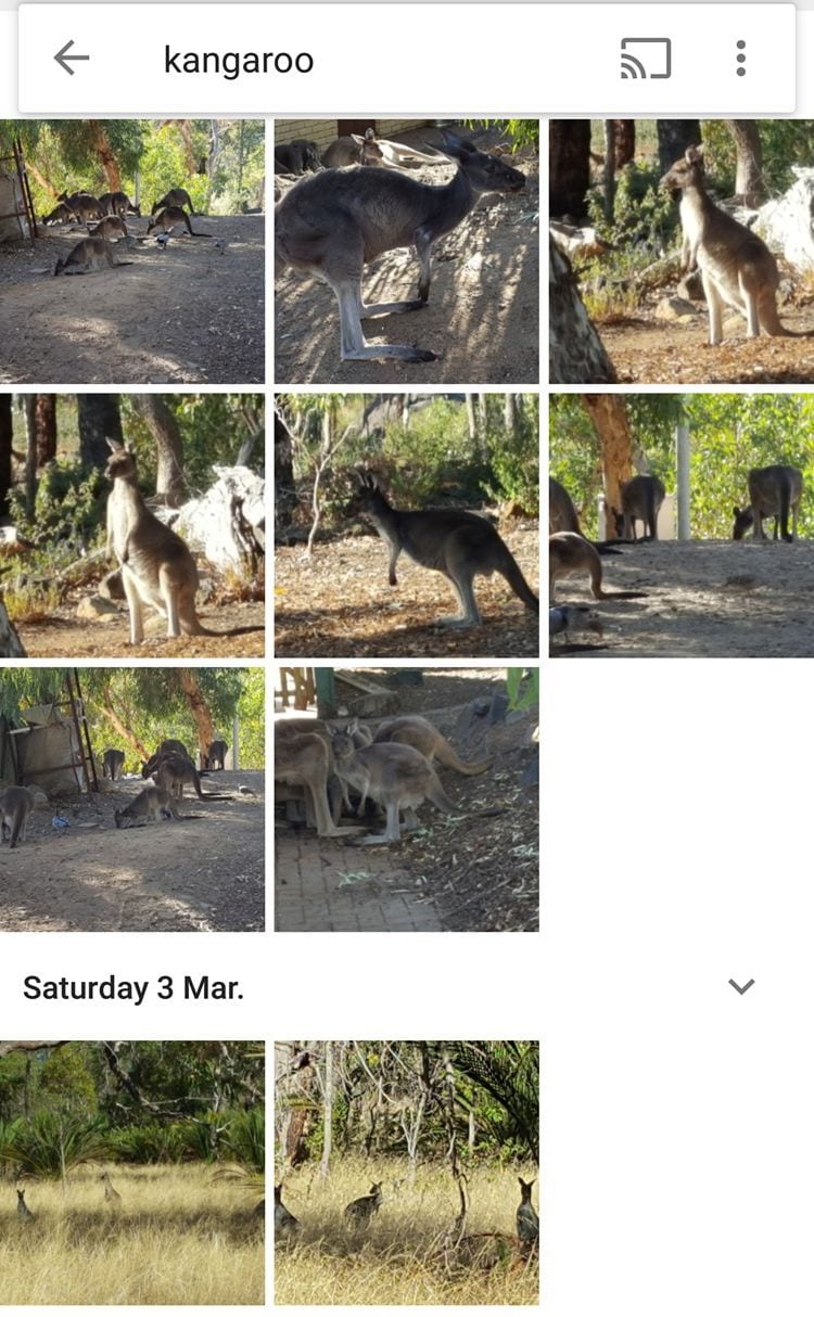 Searching Google photos