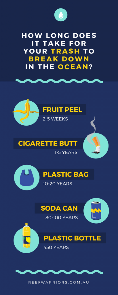 Example infographic showing how long objects take to break down The Edublogger